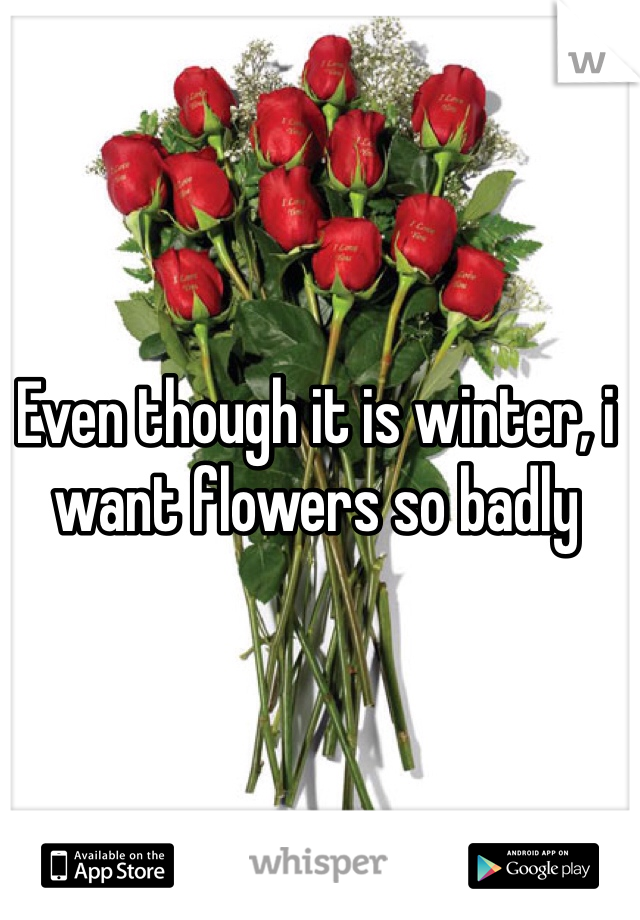 Even though it is winter, i want flowers so badly