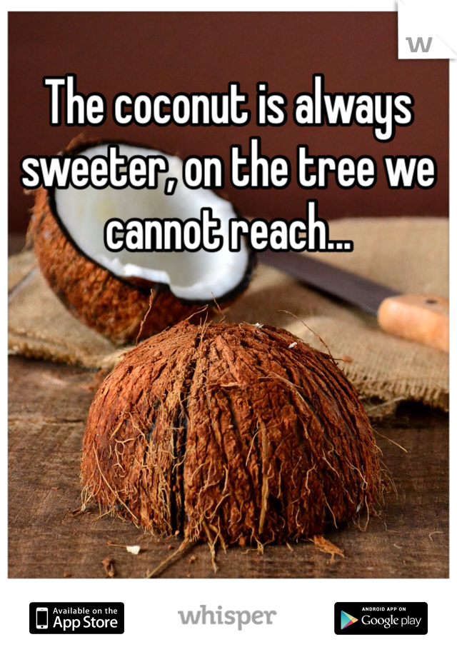 The coconut is always sweeter, on the tree we cannot reach...