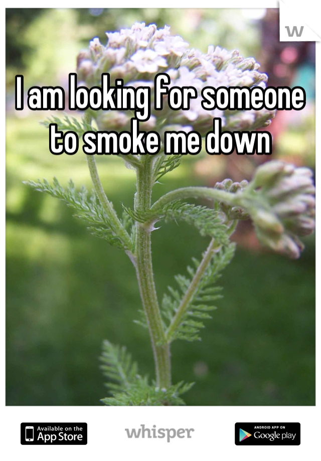 I am looking for someone to smoke me down