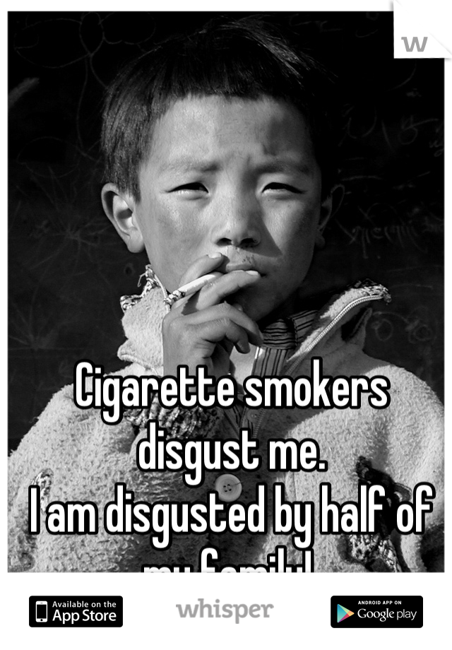 Cigarette smokers disgust me.
I am disgusted by half of my family! 