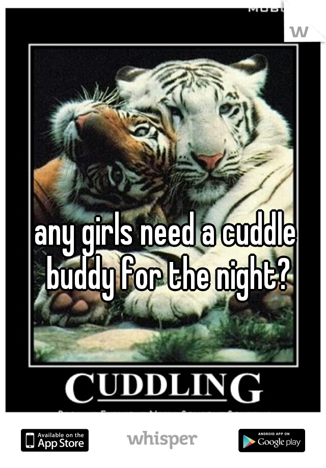 any girls need a cuddle buddy for the night?