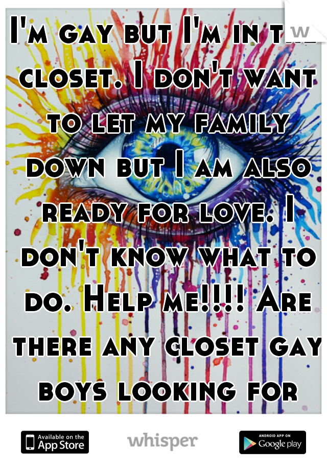 I'm gay but I'm in the closet. I don't want to let my family down but I am also ready for love. I don't know what to do. Help me!!!! Are there any closet gay boys looking for love????