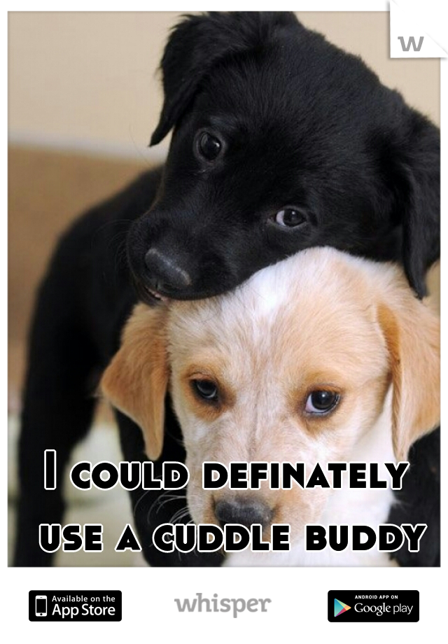 I could definately use a cuddle buddy tonight. 