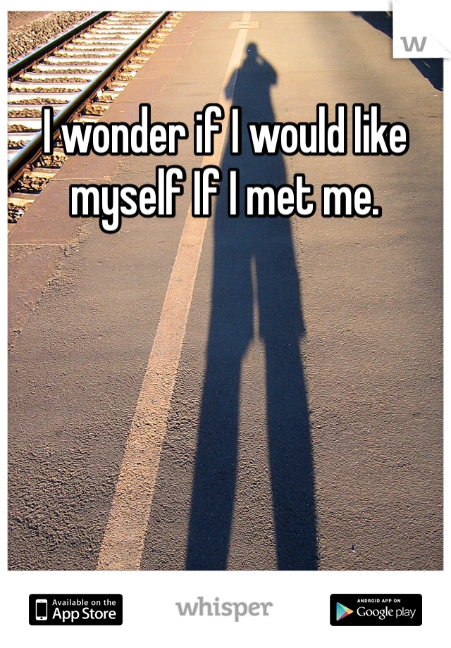 I wonder if I would like myself If I met me. 