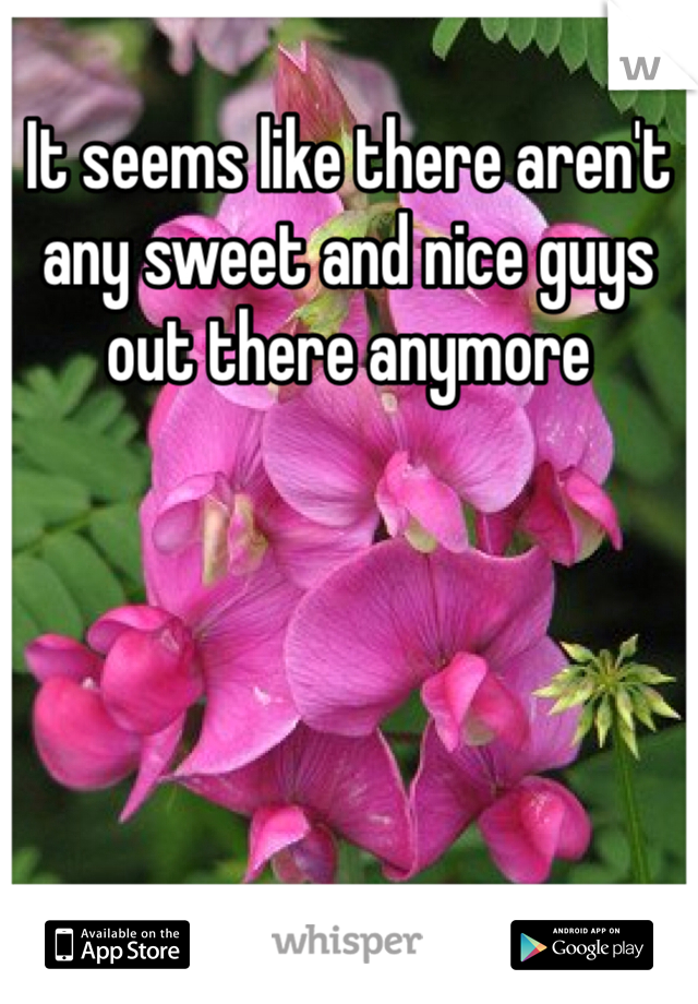 It seems like there aren't any sweet and nice guys out there anymore