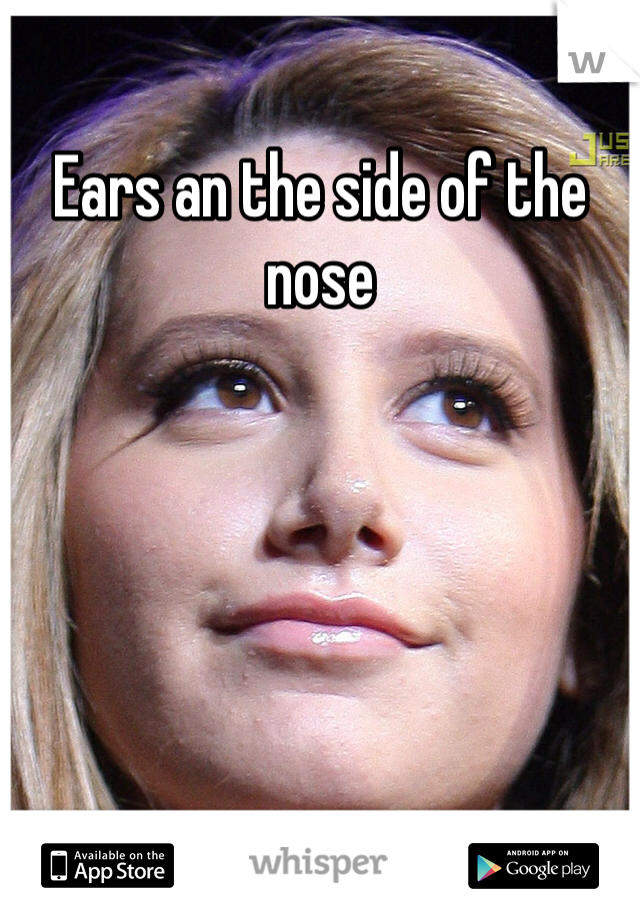 Ears an the side of the nose