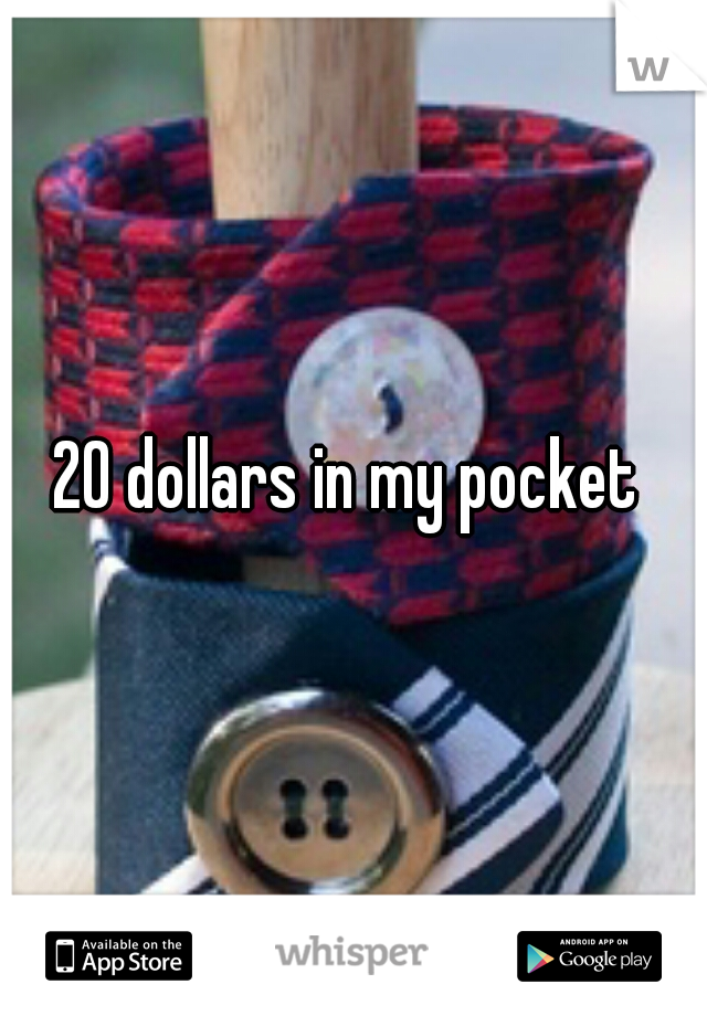 20 dollars in my pocket 