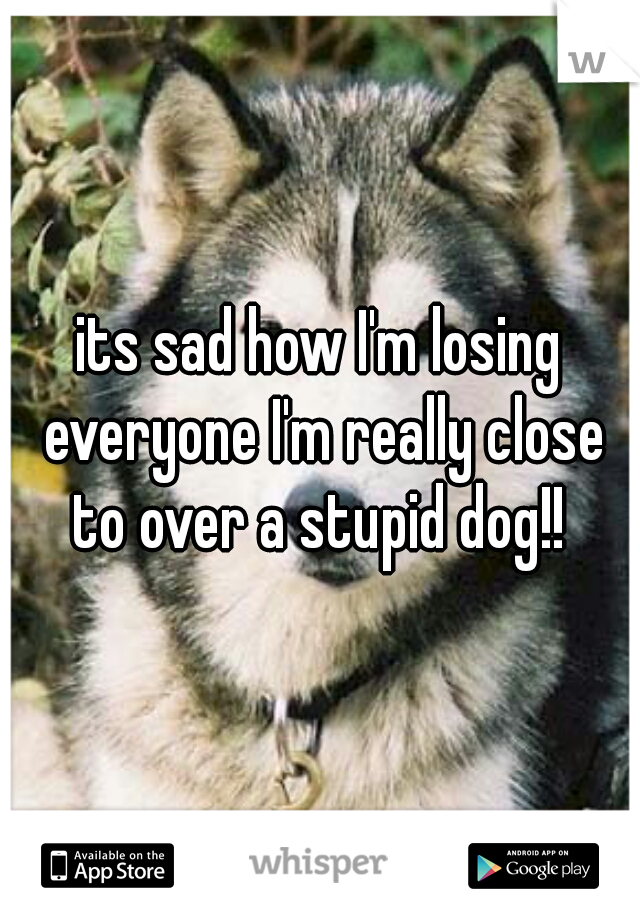 its sad how I'm losing everyone I'm really close to over a stupid dog!! 
