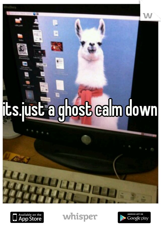 its.just a ghost calm down