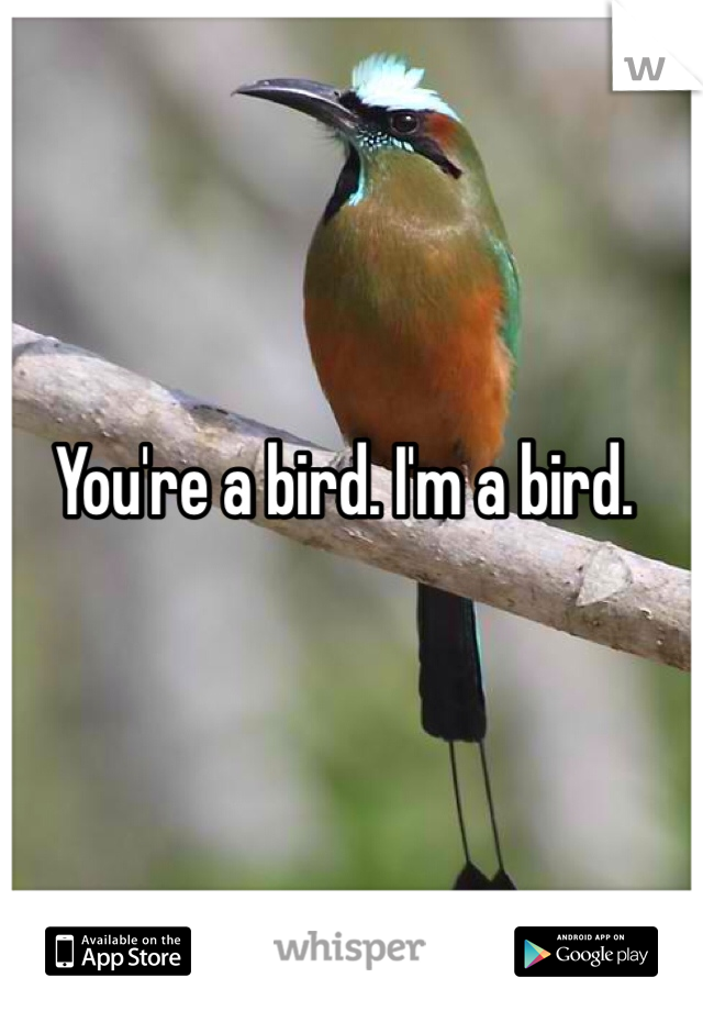 You're a bird. I'm a bird.