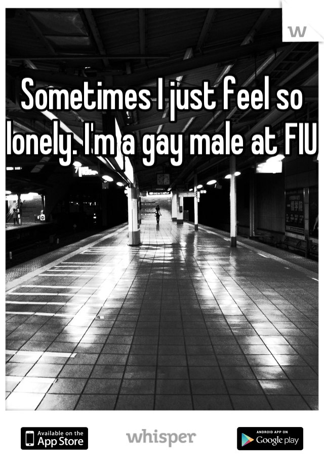 Sometimes I just feel so lonely. I'm a gay male at FIU