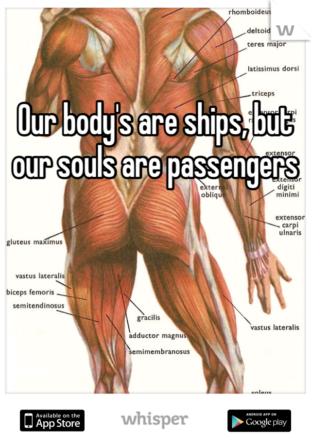 Our body's are ships, but our souls are passengers 