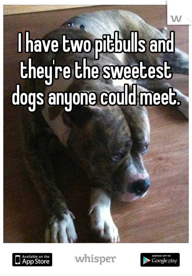 I have two pitbulls and they're the sweetest dogs anyone could meet. 