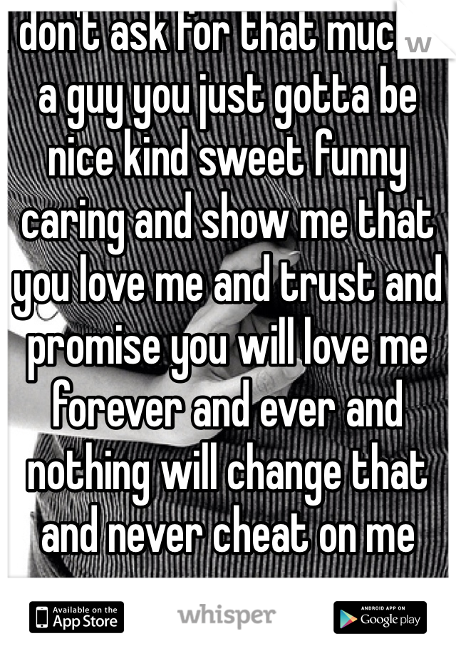 I don't ask for that much in a guy you just gotta be nice kind sweet funny caring and show me that you love me and trust and promise you will love me forever and ever and nothing will change that and never cheat on me 