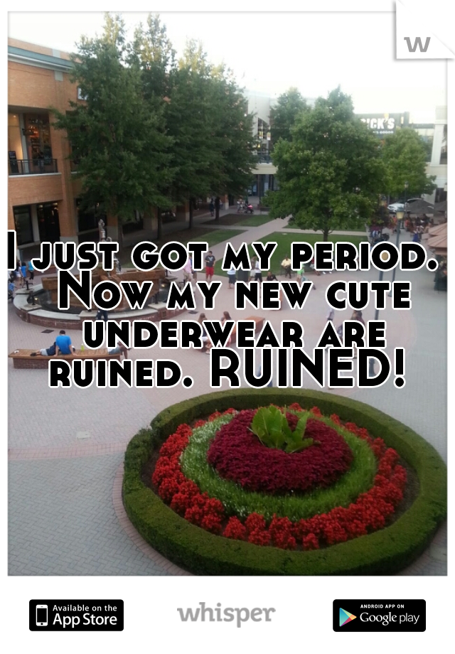 I just got my period.  Now my new cute underwear are ruined. RUINED! 