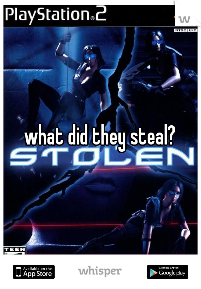 what did they steal?