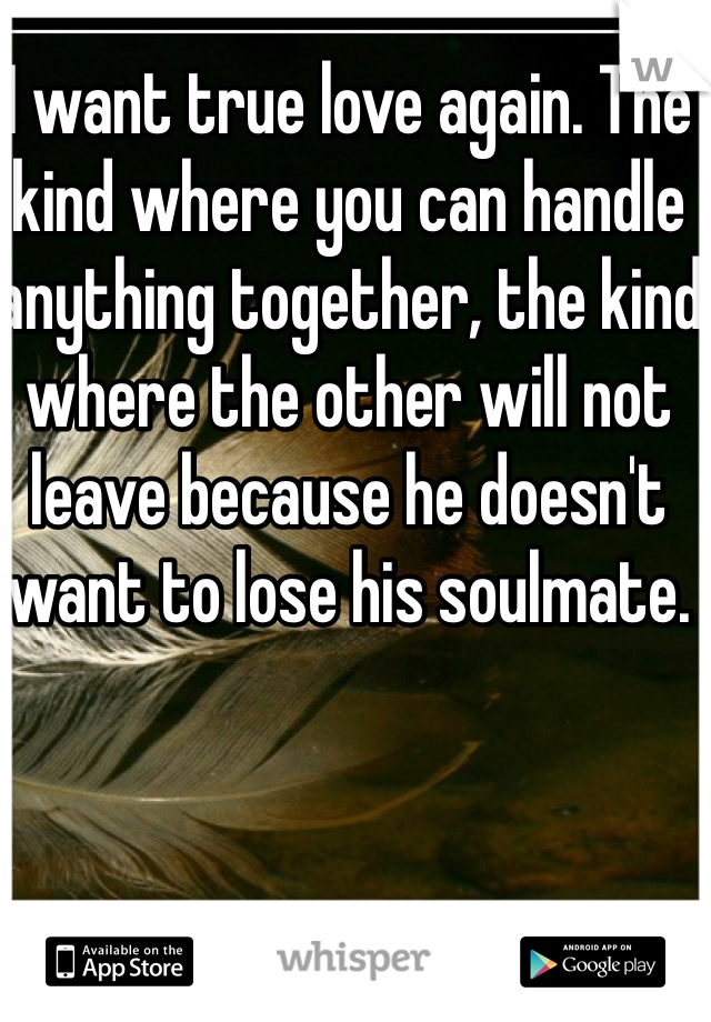 I want true love again. The kind where you can handle anything together, the kind where the other will not leave because he doesn't want to lose his soulmate. 