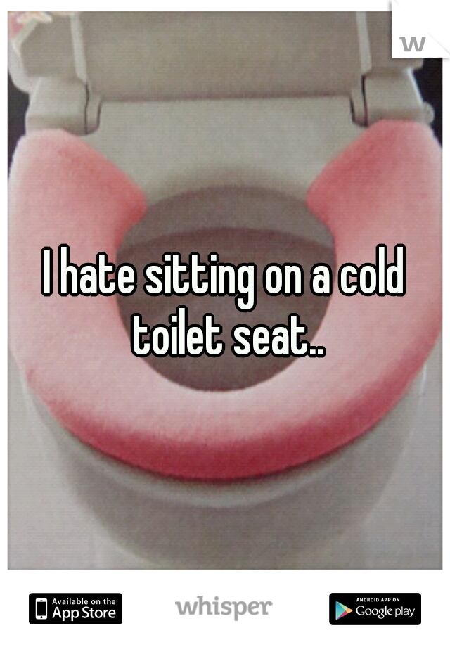 I hate sitting on a cold toilet seat..