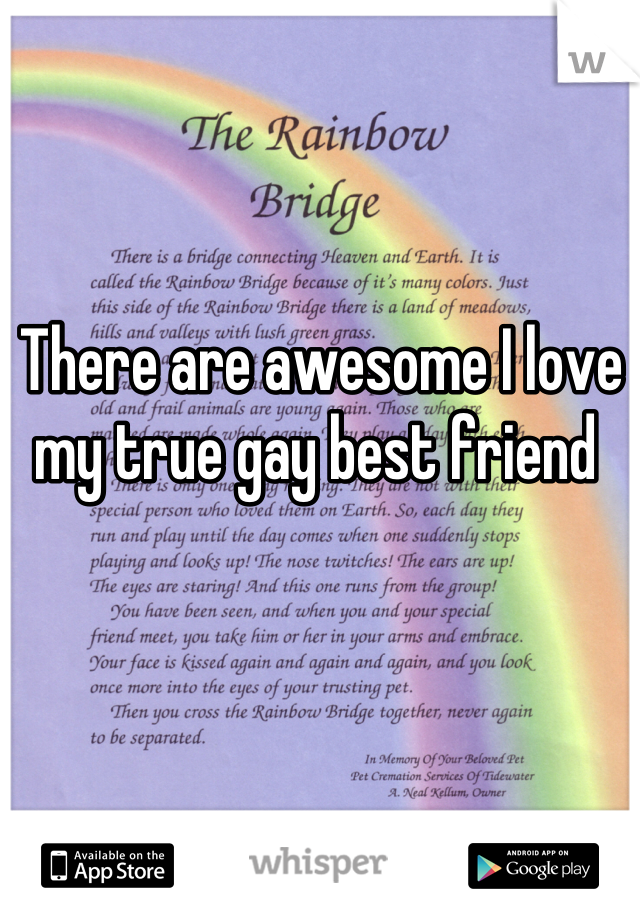 There are awesome I love my true gay best friend 