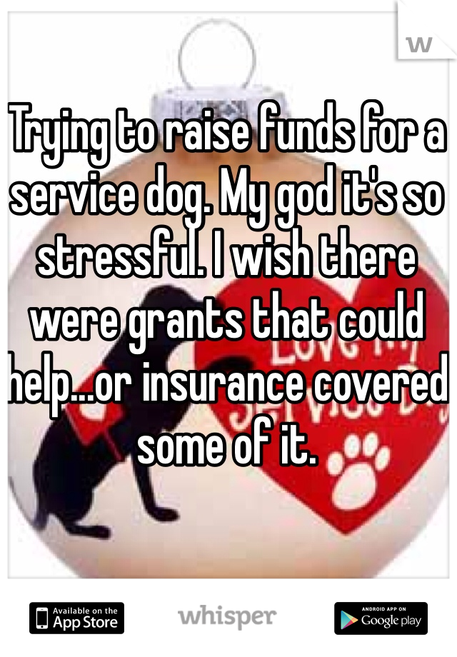 Trying to raise funds for a service dog. My god it's so stressful. I wish there were grants that could help...or insurance covered some of it. 