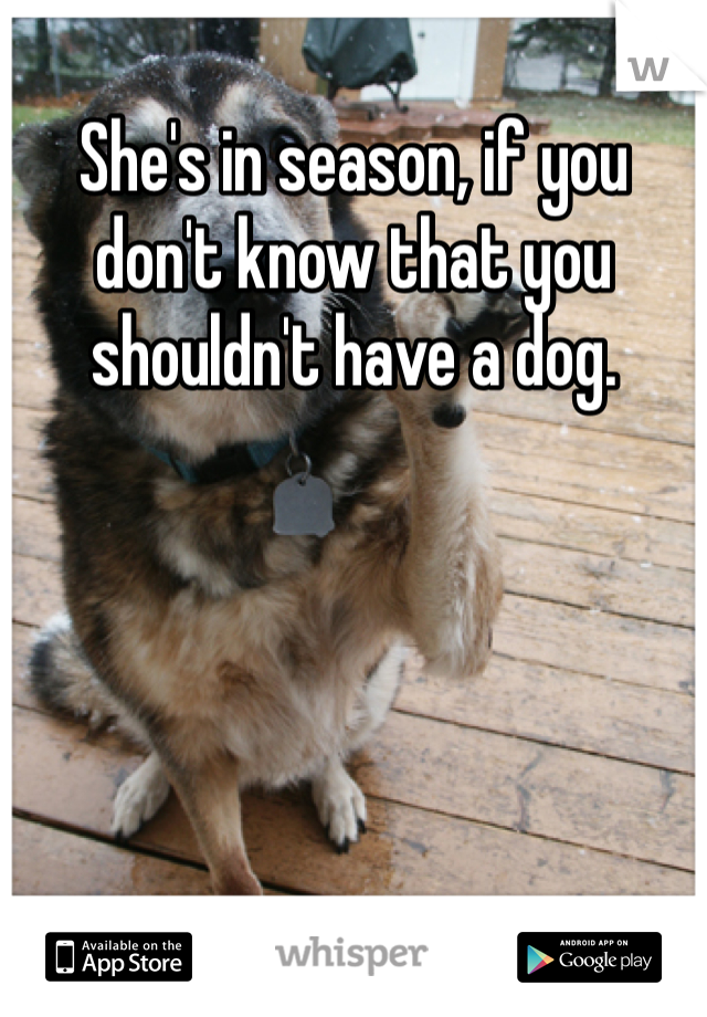 She's in season, if you don't know that you shouldn't have a dog. 
