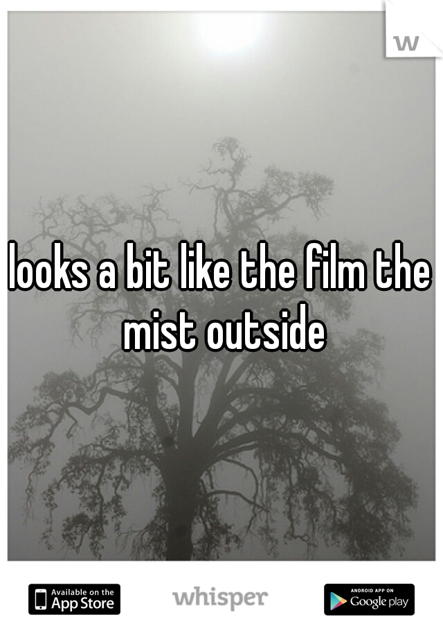 looks a bit like the film the mist outside