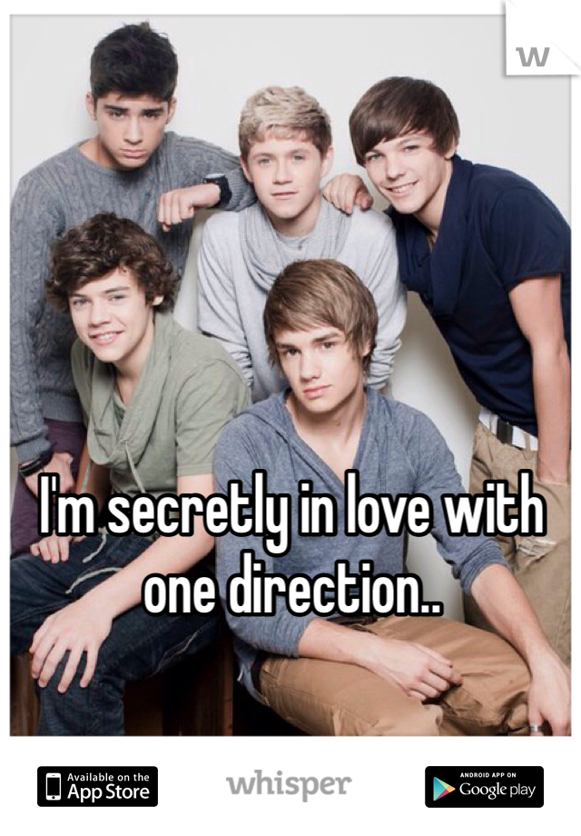 I'm secretly in love with one direction..