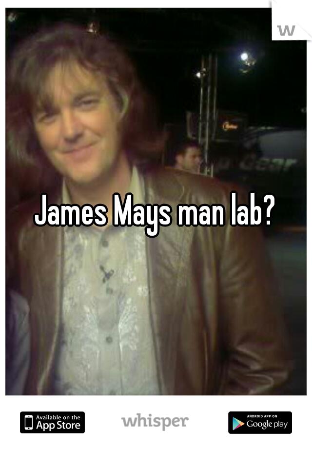 James Mays man lab?