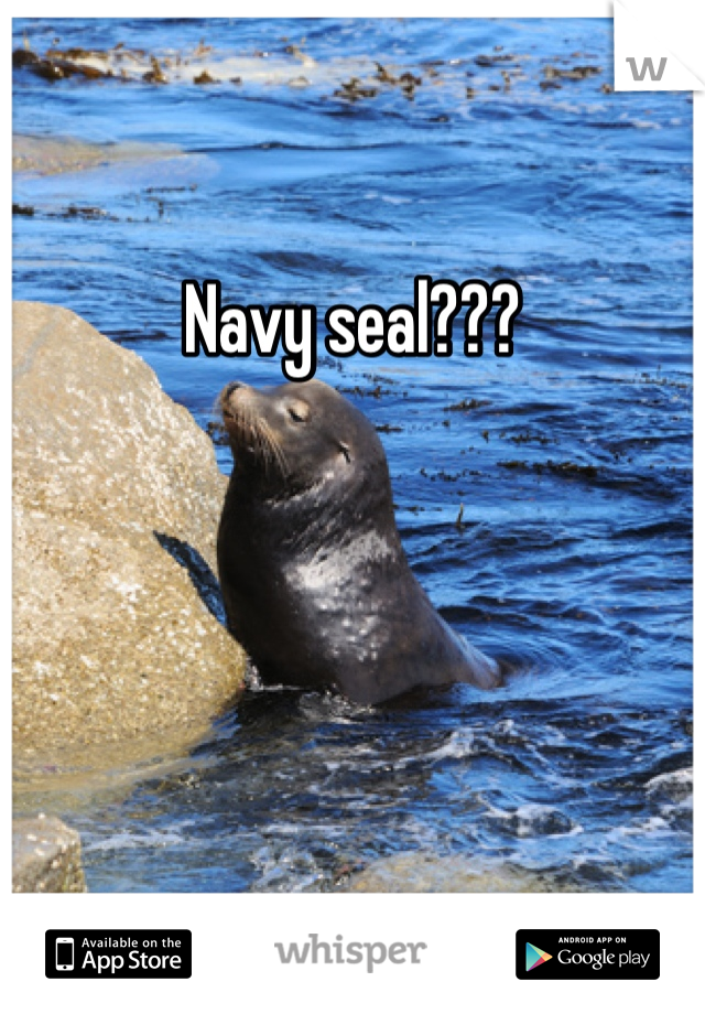 Navy seal???