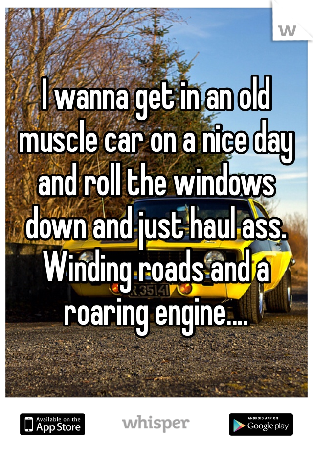 I wanna get in an old muscle car on a nice day and roll the windows down and just haul ass. Winding roads and a roaring engine....