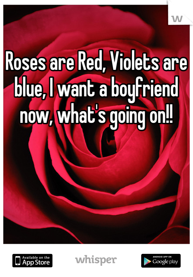 Roses are Red, Violets are blue, I want a boyfriend now, what's going on!!