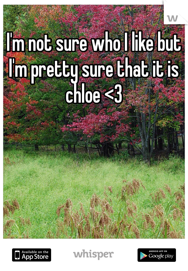 I'm not sure who I like but I'm pretty sure that it is chloe <3