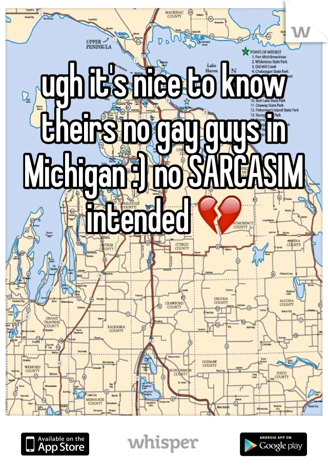 ugh it's nice to know theirs no gay guys in Michigan :) no SARCASIM intended 💔