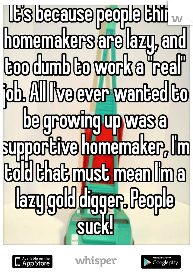 It's because people think homemakers are lazy, and too dumb to work a "real" job. All I've ever wanted to be growing up was a supportive homemaker, I'm told that must mean I'm a lazy gold digger. People suck!