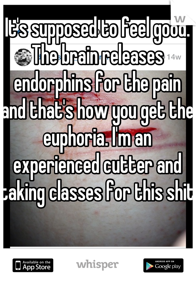 It's supposed to feel good. The brain releases endorphins for the pain and that's how you get the euphoria. I'm an experienced cutter and taking classes for this shit