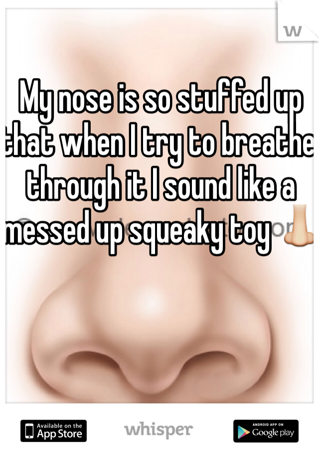 My nose is so stuffed up that when I try to breathe through it I sound like a messed up squeaky toy 👃