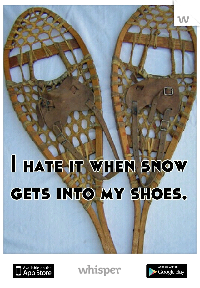 I hate it when snow gets into my shoes. 