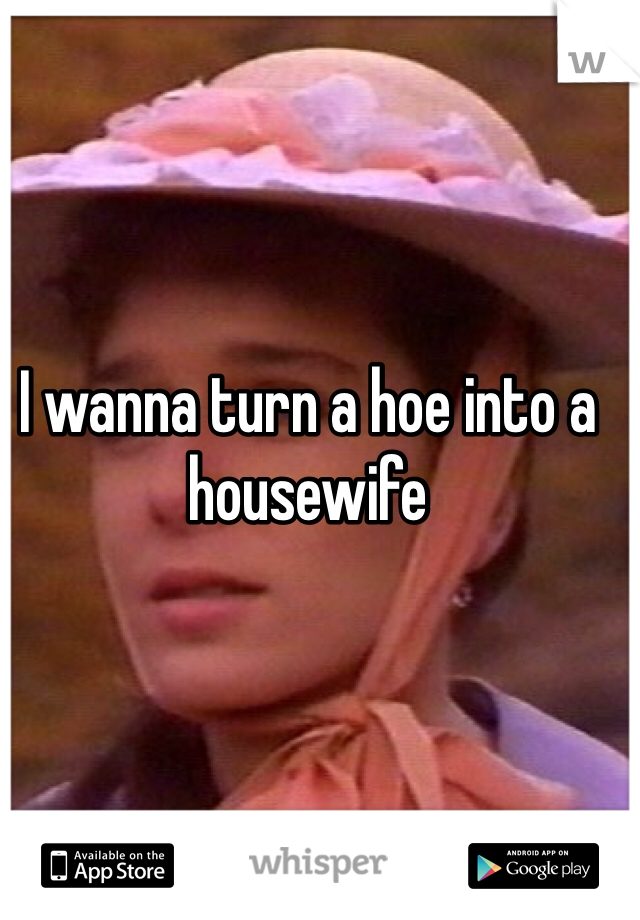 I wanna turn a hoe into a housewife 