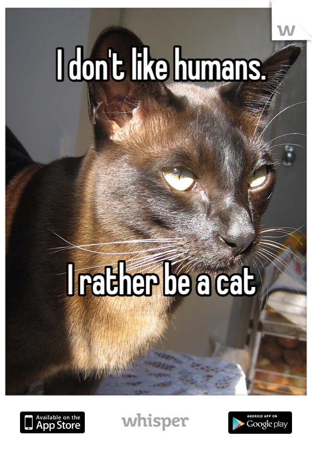I don't like humans. 




I rather be a cat