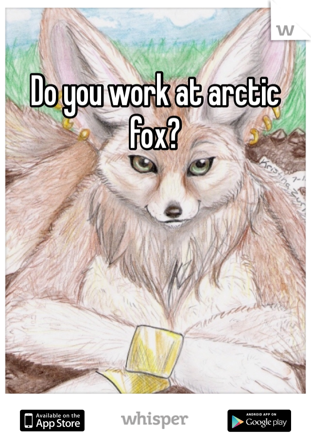 Do you work at arctic fox? 