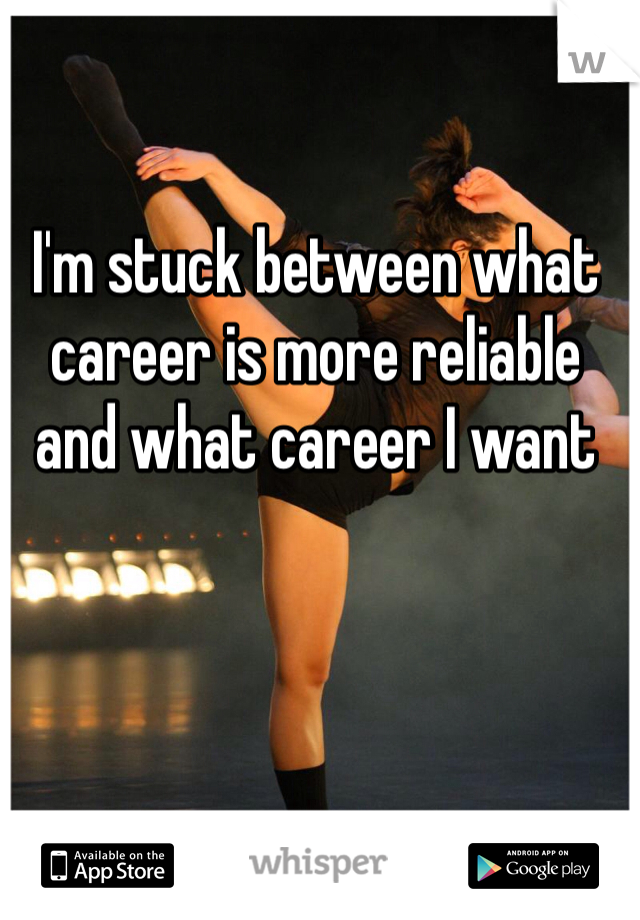 I'm stuck between what career is more reliable and what career I want