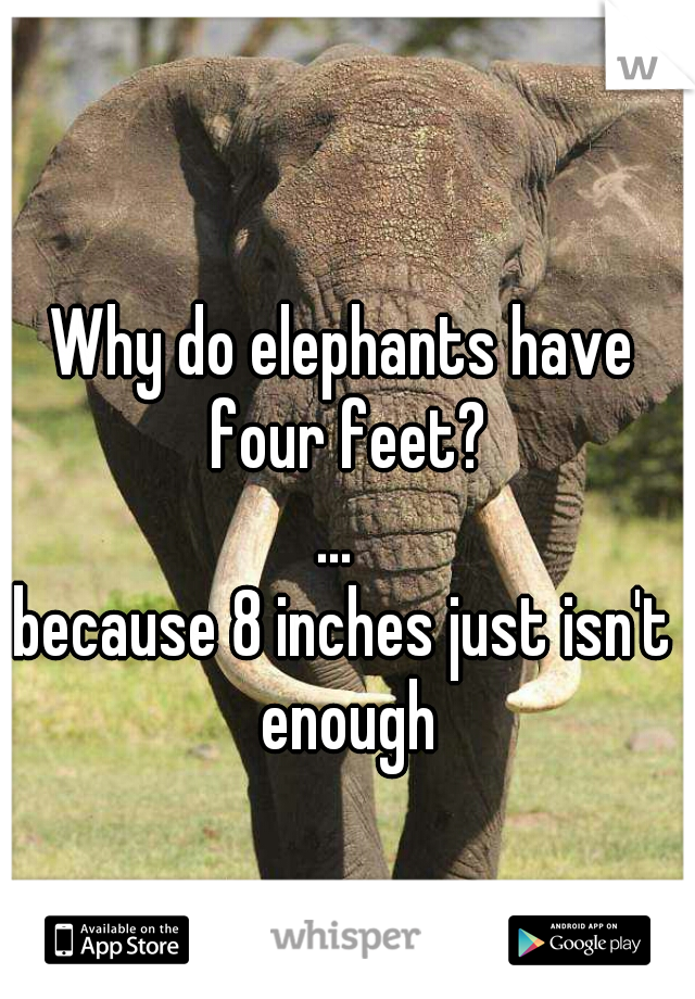 Why do elephants have four feet?
... 
because 8 inches just isn't enough
