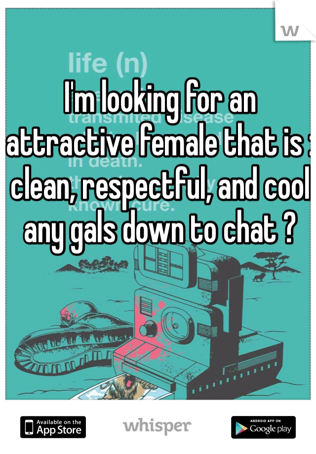 I'm looking for an attractive female that is : clean, respectful, and cool any gals down to chat ?