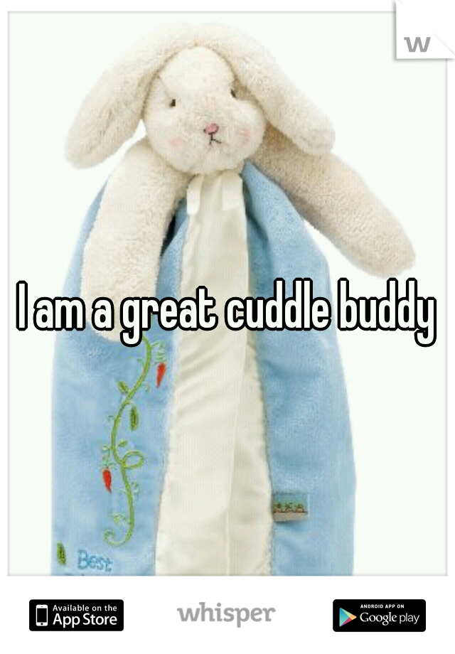 I am a great cuddle buddy