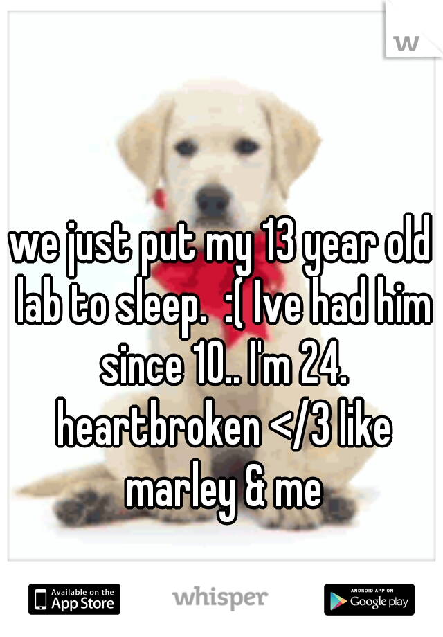 we just put my 13 year old lab to sleep.  :( Ive had him since 10.. I'm 24. heartbroken </3 like marley & me