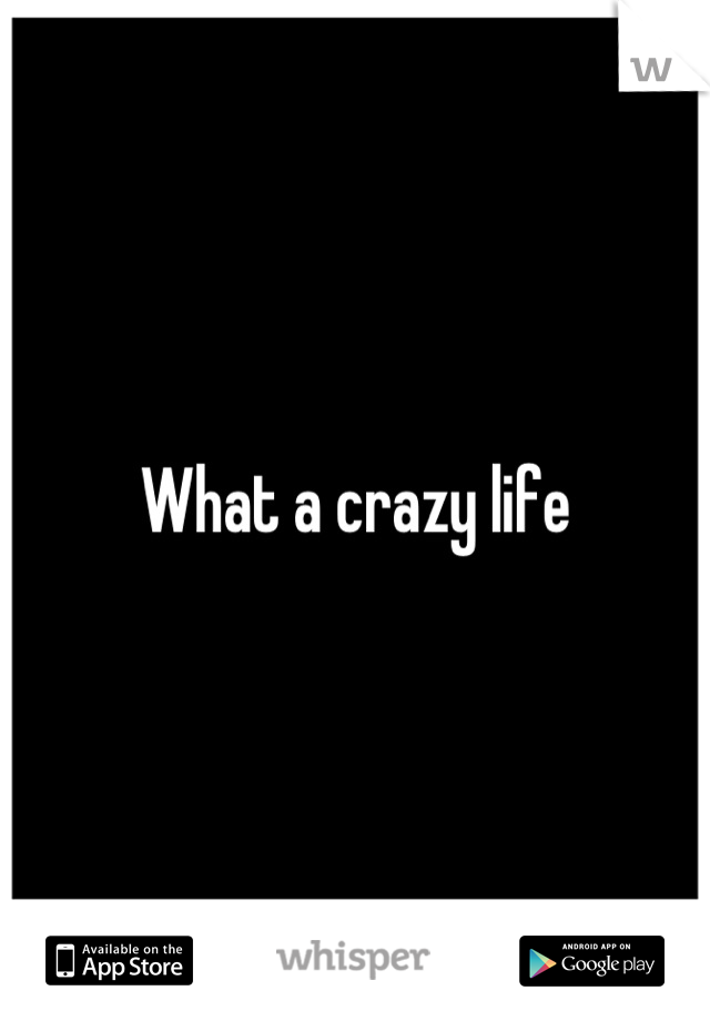 What a crazy life
