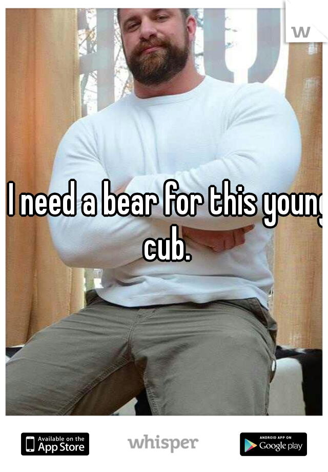 I need a bear for this young cub.  