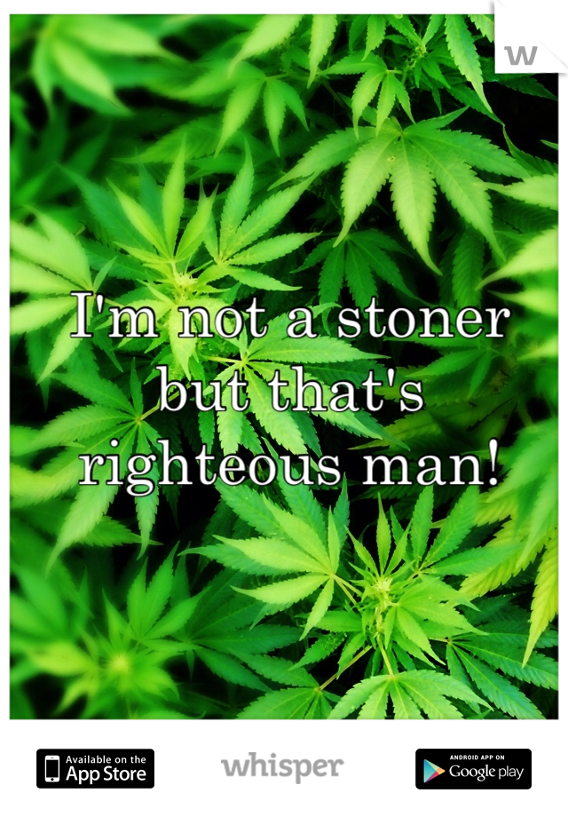 I'm not a stoner but that's righteous man!
 