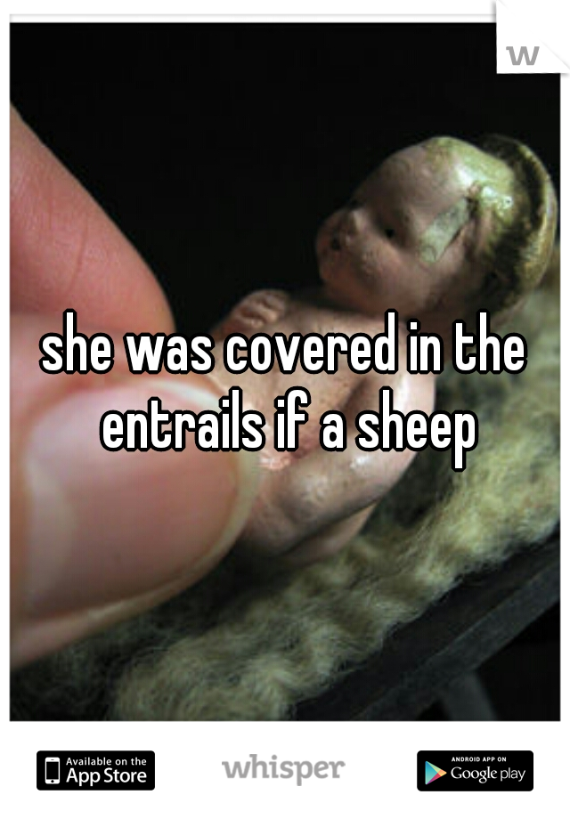 she was covered in the entrails if a sheep