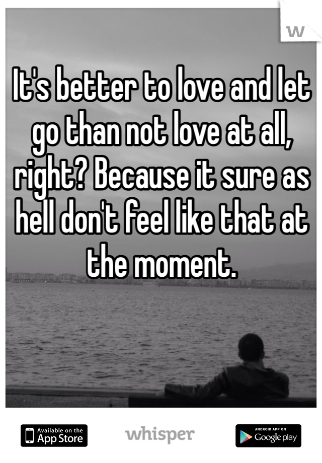It's better to love and let go than not love at all, right? Because it sure as hell don't feel like that at the moment. 